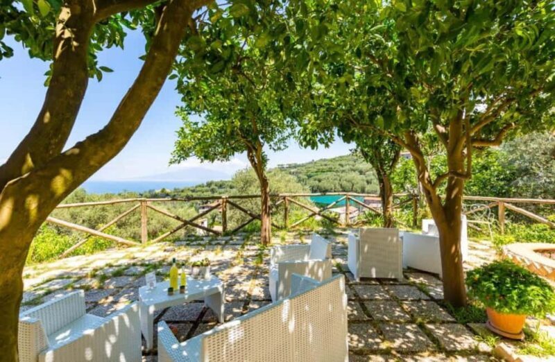 Lemon Grove Walk, Tastings, Aperitivo & Open Bar in Sorrento - What Makes This Tour Special?