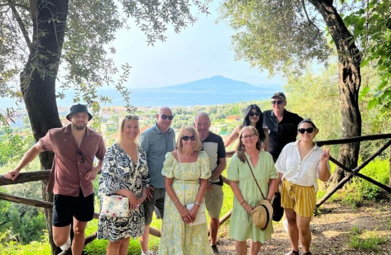 Lemon Grove Walk, Tastings, Aperitivo & Open Bar in Sorrento - Final Thoughts