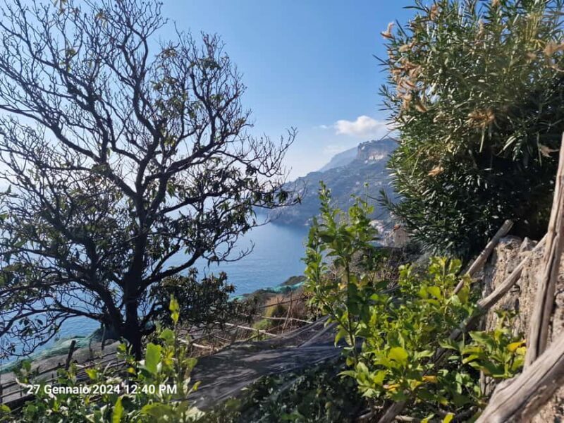 Lemon Path - Amalfi coast - An In-Depth Look at the Lemon Path Tour