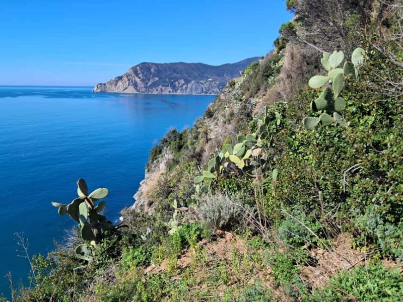 Lemon tour with limoncino and wine tasting in Vernazza (Cinque Terre) - What’s Included and What’s Not