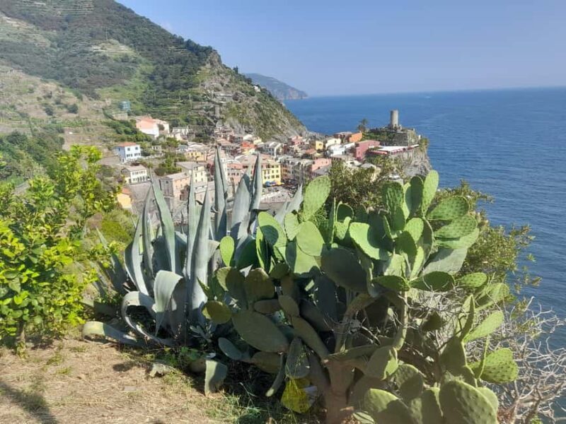 Lemon tour with limoncino and wine tasting in Vernazza (Cinque Terre) - The Sum Up