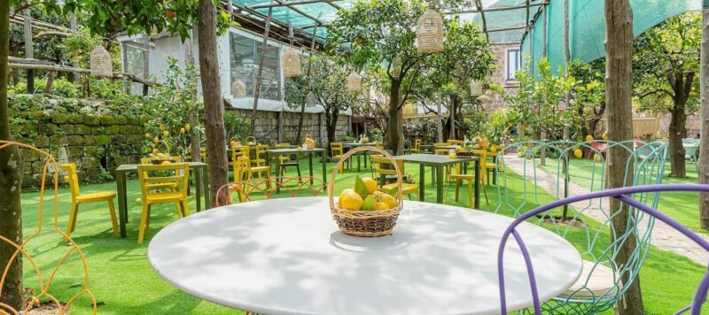 Lemon Tour with Lunch/Dinner - Lemon Tour with Lunch/Dinner: A Juicy Taste of Sorrento’s Citrus Heritage