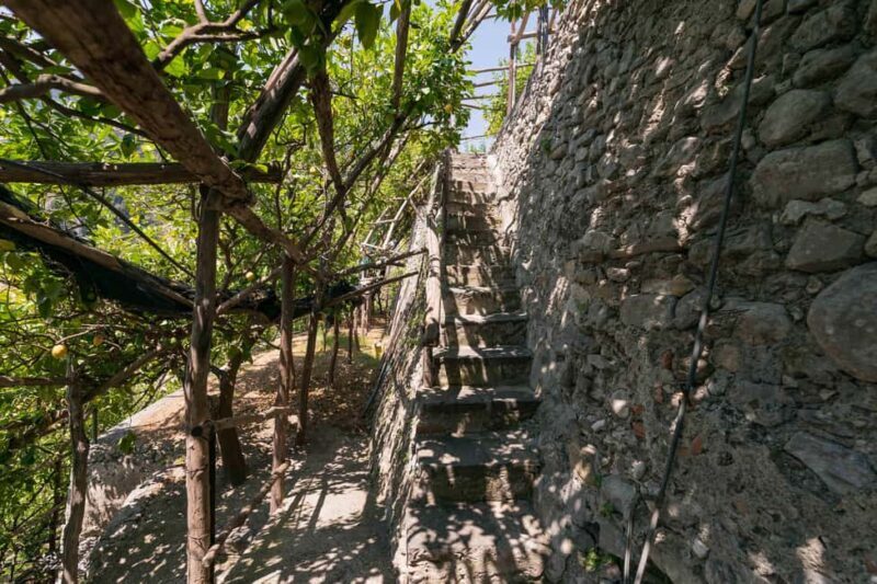 Lemons & Breathtaking Views: Amalfi Monumental Garden Tour - A Closer Look at the Amalfi Monumental Garden Tour