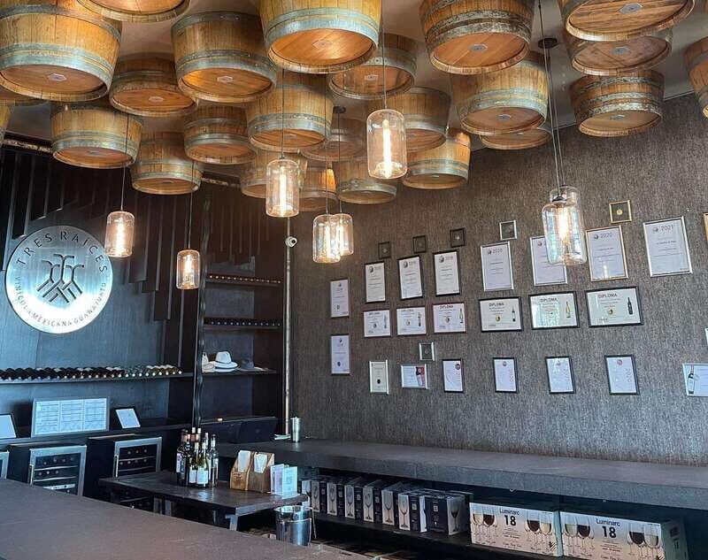 Leon: Dolores Hidalgo Viñedo Tres Raíces Wine Tour - Exploring the Wine Tour Experience