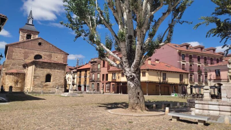 León: Guided tour by a local art historian - The Practicalities: What to Expect and Consider