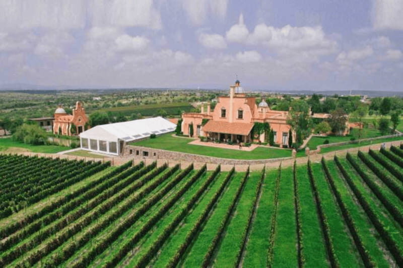 Leon: Viñedo Tierra de Luz Tour with Wine Tasting - Key Points