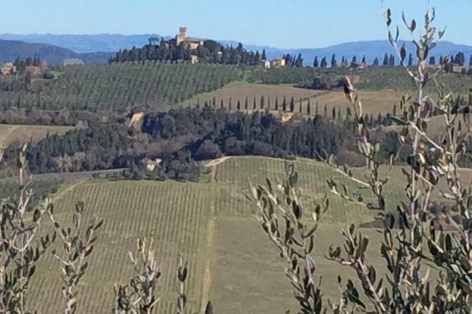 Leonardo da Vinci Voyage with Olive Oil, Food and Wine Dream - What Makes This Tour Special?