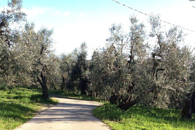 Leonardo da Vinci Voyage with Olive Oil, Food and Wine Dream - FAQs