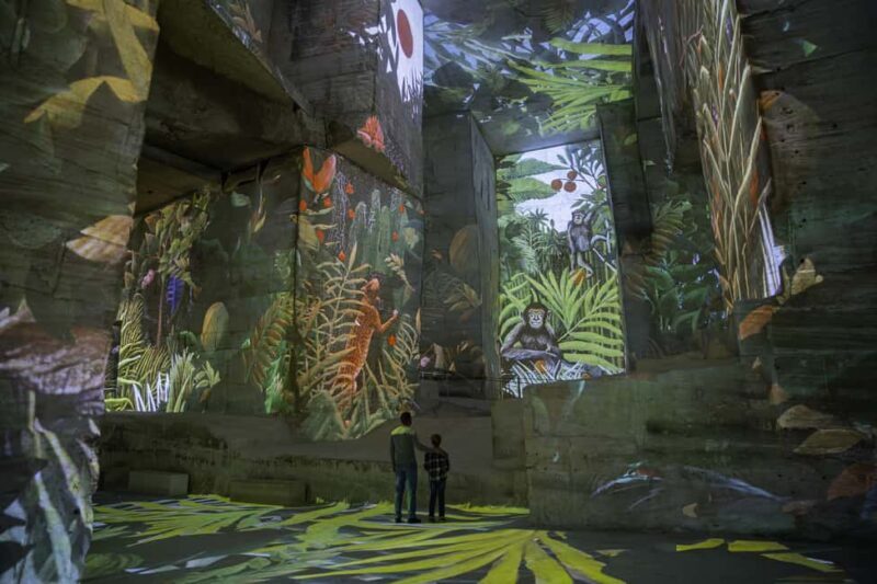 Les Baux-de-Provence: Carrières des Lumières entry ticket - What to Expect: Practical Details