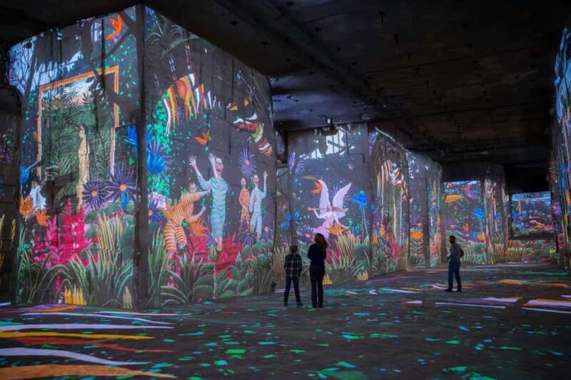 Les Baux-de-Provence: Carrières des Lumières entry ticket - Who Will Love This Experience?