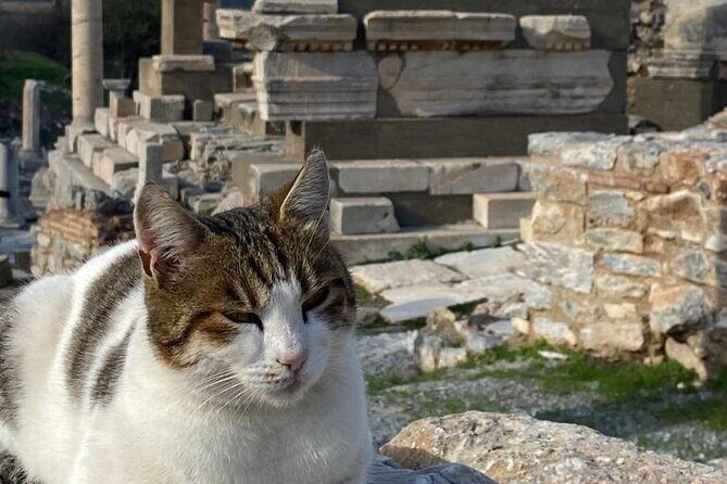 LESS Walking Tour : Private Ephesus, House of Virgin Mary, Temple - A Practical Look at the Tour Itself