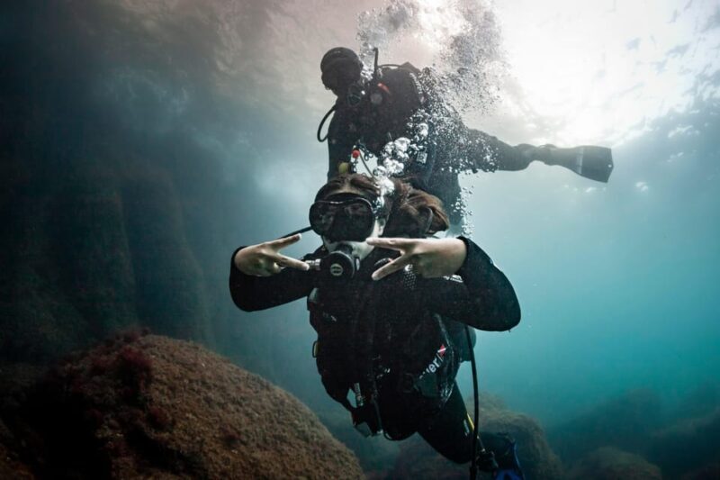 L'Estartit: Dive and Snorkeling in Montgrí Natural Park - What to Expect from Your Snorkeling and Try Dive Experience in Montgrí Natural Park