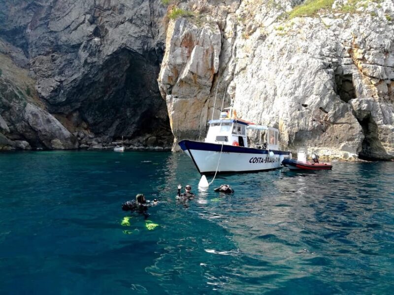 L'Estartit: Dive and Snorkeling in Montgrí Natural Park - Final Thoughts: Is This Tour Right for You?