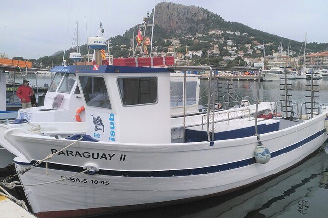 L'Estartit: Snorkeling in the Medes Islands - Key Points