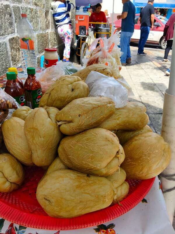 Let's embark on this splendid gastronomic journey together! - FAQ