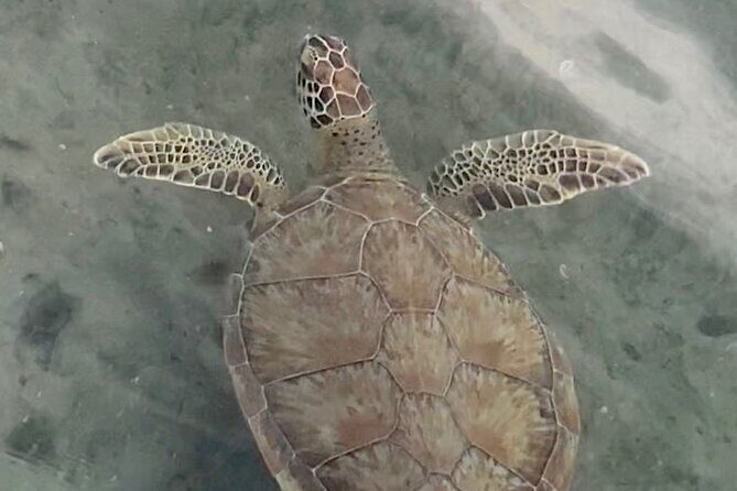 Lets Paddle! Jupiter & surrounding areas - Why You Might Love This Experience