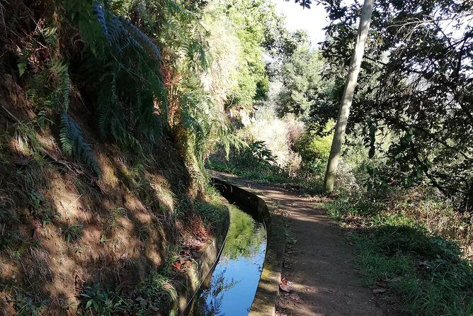 Levada da Referta - Castelejo - An Honest Look at the Tour Experience