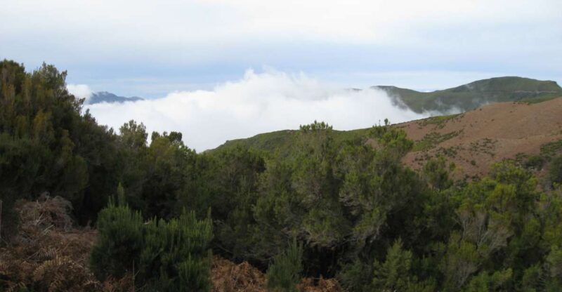 Levada do Alecrim (Madeira Lakes) Full-day walk - Key Points