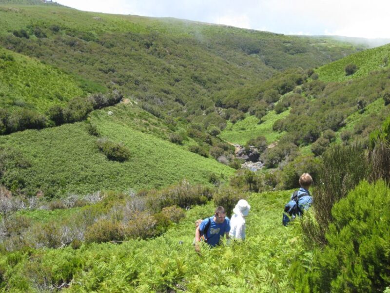 Levada do Alecrim (Madeira Lakes) Full-day walk - FAQ
