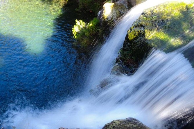 Levada do Alecrim - Rosemary Levada (Full Day Walk) - Transportation and Group Size