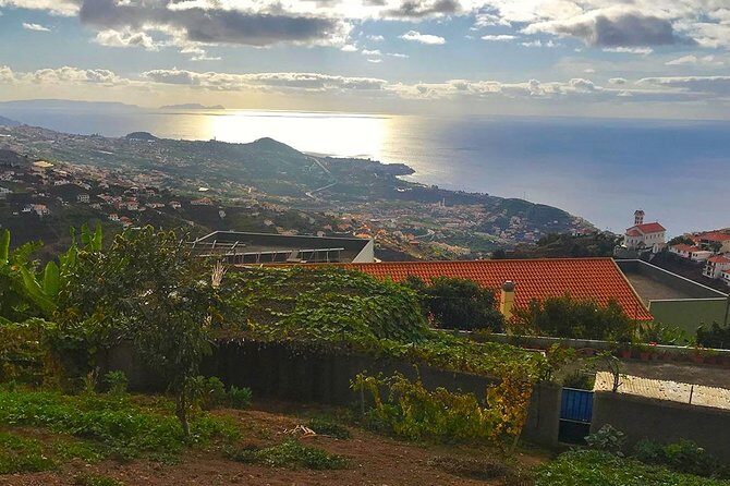 Levada do Norte - Walking Tour - What to Expect From the Levada do Norte Tour