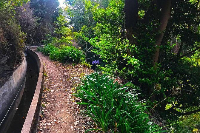 Levada do Norte - Walking Tour - Who This Tour Is Best For