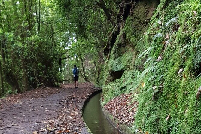 Levada do Rei - Ribeiro Bonito (Full Day Walk) - A Closer Look at the Tour Itself