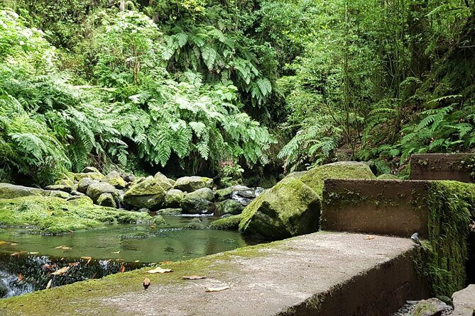 Levada do Rei - Ribeiro Bonito (Full Day Walk) - Final Thoughts