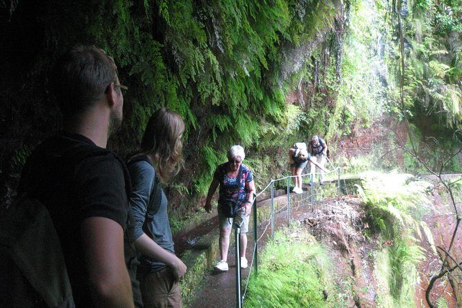 Levada do Rei - Ribeiro Bonito (Full Day Walk) - Additional Notes