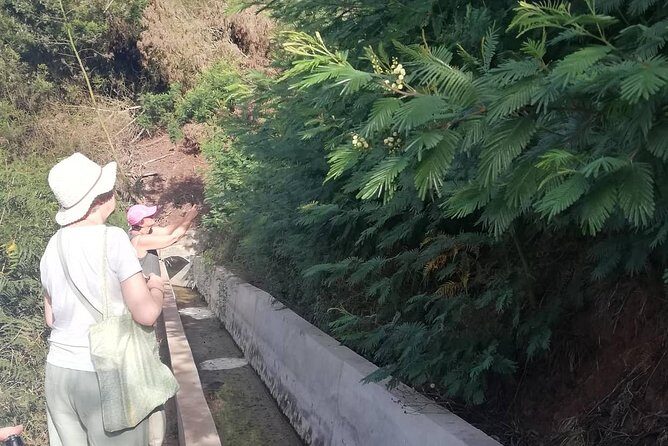 Levada Serra D´Agua - The Price and Value