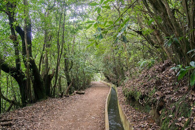 Levada Walk from Ribeiro Frio to Portela - Authentic Experiences and Guest Insights