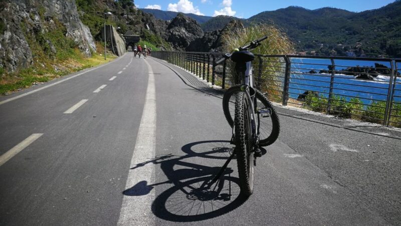 Levanto: Guided E-Bike Tour in Framura with Wine & Focaccia - Who Would Love This Experience?