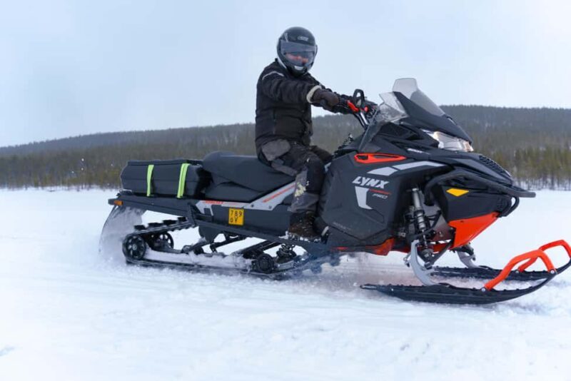 Levi: 2-Hour Snowmobile Safari Led by Local Guides - Key Points