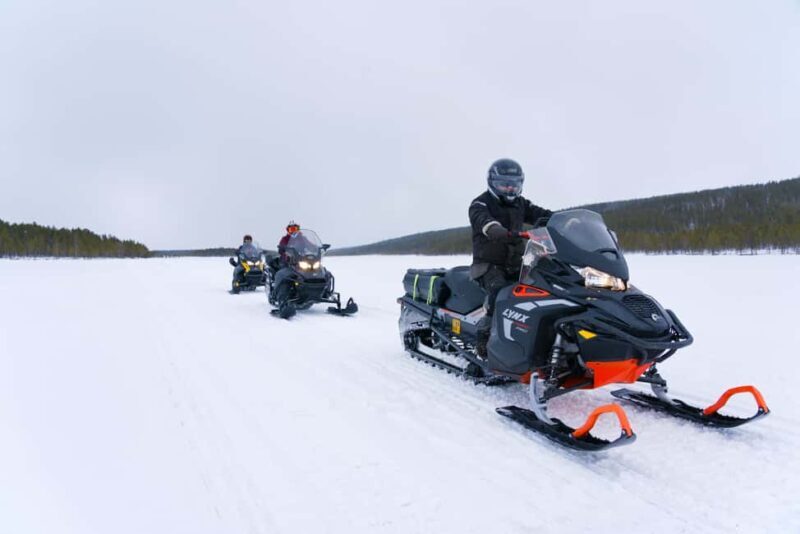 Levi: 2-Hour Snowmobile Safari Led by Local Guides - What to Expect from the Snowmobile Safari