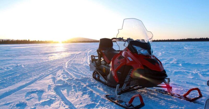 Levi: 3 Hour Snowmobile Safari Around Levi with Coffee Break - An In-Depth Look at the Snowmobile Safari