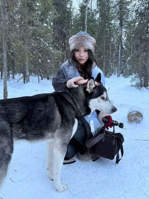 Levi: 5 Km Husky Sledding Ride in Levi - An Honest Look at the Husky Sled Ride Experience