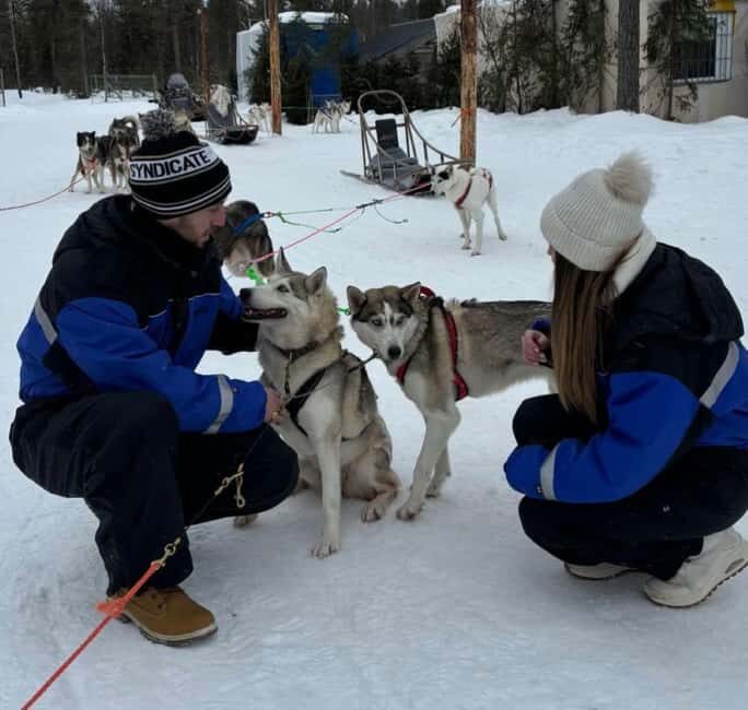 Levi: 5 Km Husky Sledding Ride in Levi - FAQs