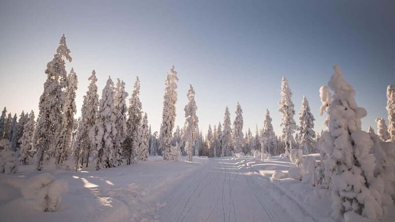 Levi: 6 Hour Authentic Snowmobile Safari to Lappish Villages - Who Will Love This Tour?