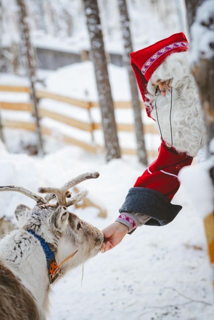 Levi: Arcandia, The Elf Court/Daylight & Park Side/Darkness - Our Final Take