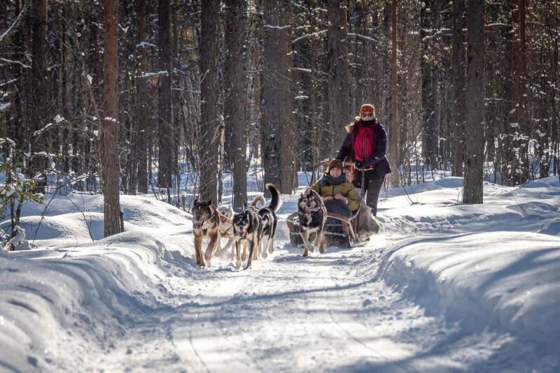 Levi: Arctic Combo Husky & Reindeer Ride - Getting a Feel for the Tour