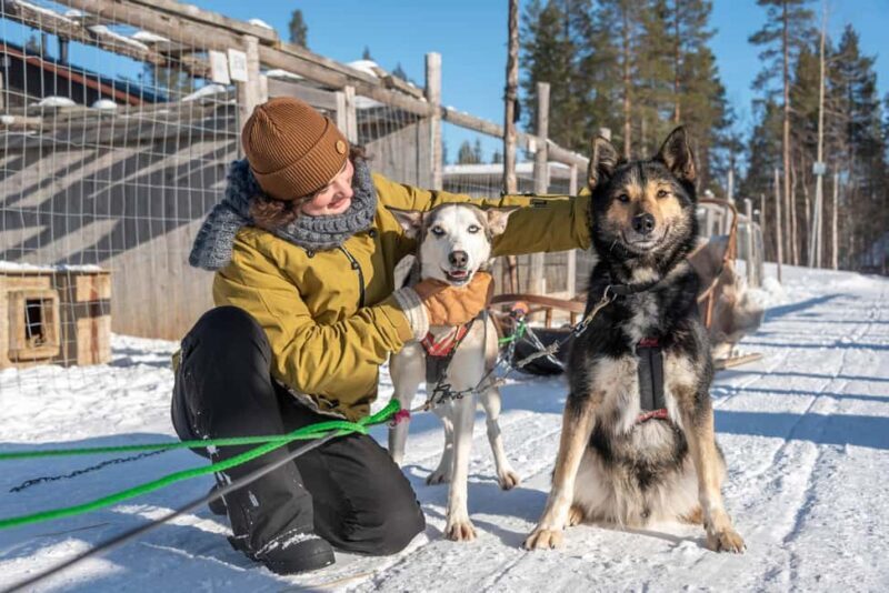 Levi: Arctic Combo Husky & Reindeer Ride - Practical Details