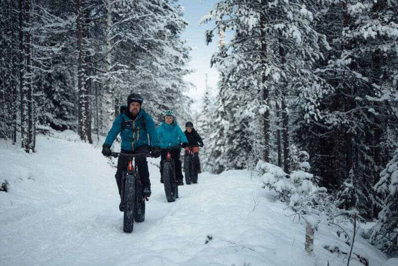 Levi: E-Fatbike Adventure in Snowy Forest - What We Love
