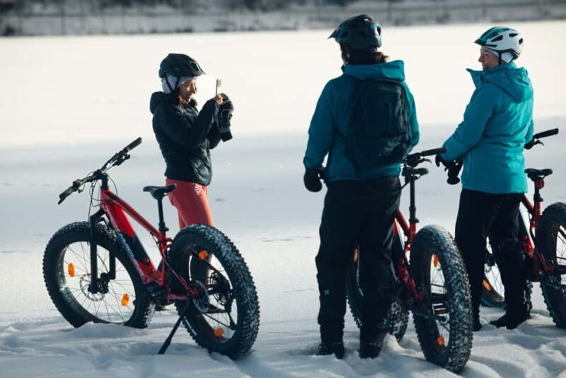 Levi: E-Fatbike Adventure in Snowy Forest - Potential Downsides