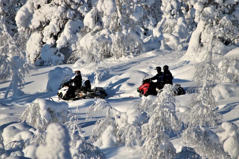 Levi: Easy Snowmobile Safari into the Nature - The Experience from the Reviews: What Tourists Say