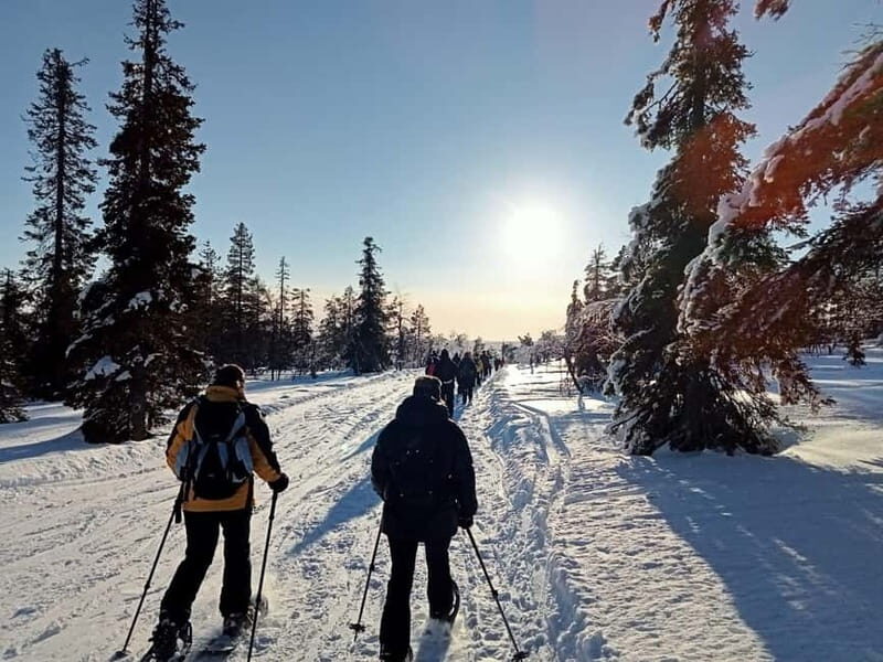 Levi: Evening Snowshoe Walk Under Northern Sky - FAQ