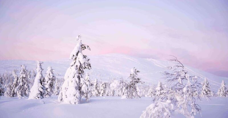 Levi: Explore the Wilderness - Setting the Scene: What is Levis Wilderness Tour All About?