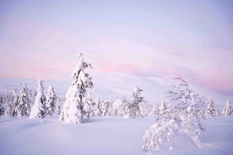 Levi: Explore the Wilderness - Potential Drawbacks or Considerations