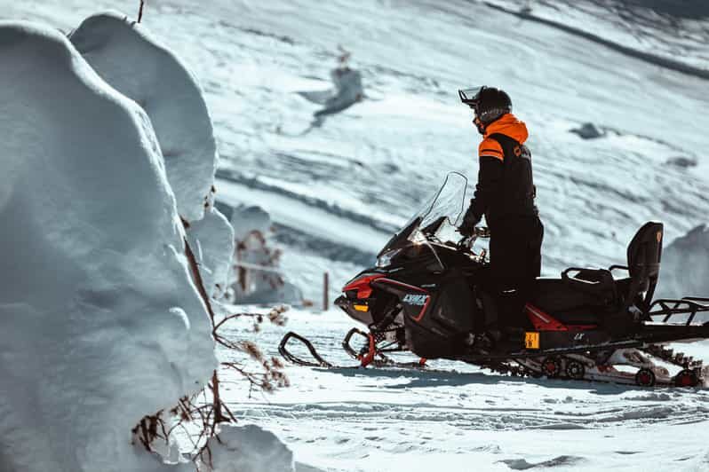 Levi: Full Day Snowmobile Safari to Wilderness - Practical Details You Should Know