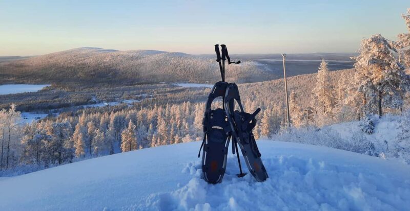 Levi: Gentle Snowshoe Walk in Winter Wilderness - Discovering the Arctic in Comfort and Calm