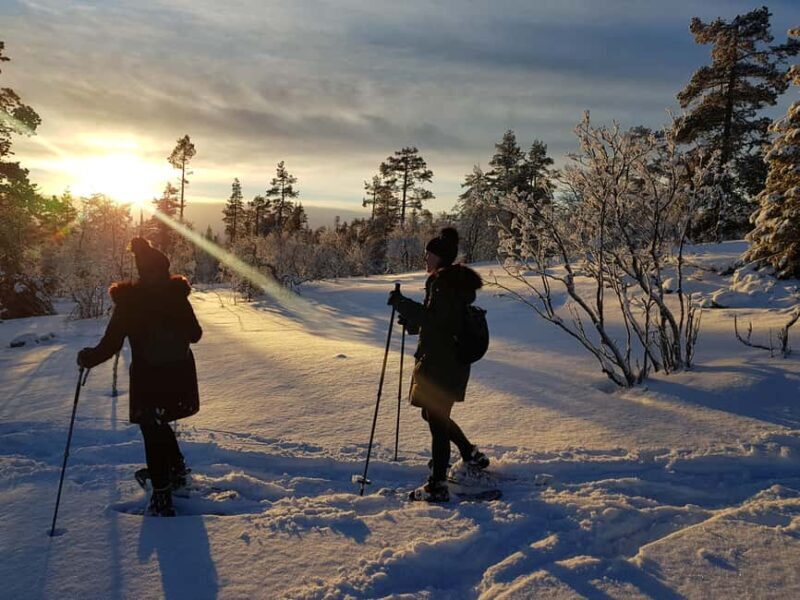 Levi: Gentle Snowshoe Walk in Winter Wilderness - The Experience from a Traveler’s Perspective